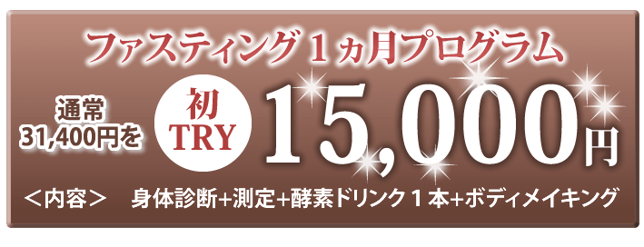 通常月額26,250円を今だけお試し価格 12,000円 月額