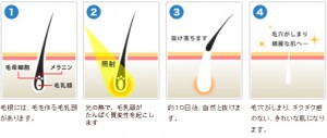 datsumo_light