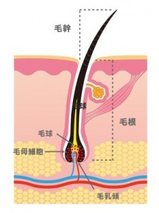 o0300040113165203233