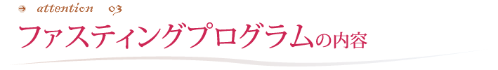 健康魅Bodyプログラムの内容