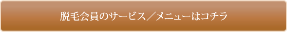 下松市のフェイシャルエステサロンの脱毛メニュー