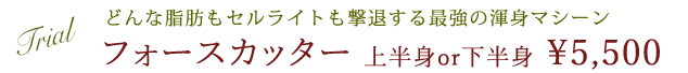 下松市の美肌専門エステ「サロンドカイ」どんな脂肪もセルライトも撃退する最強の渾身マシーンフォースカッター上半身or下半身￥5,500
