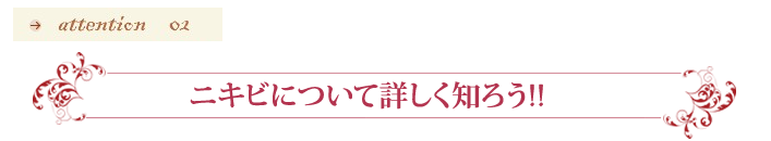 ニキビについて詳しく知ろう！