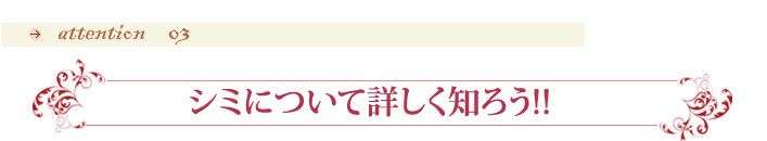 シミについて詳しく知ろう！！