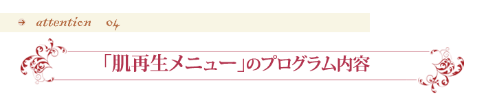 「肌再生メニュー」のプログラム内容