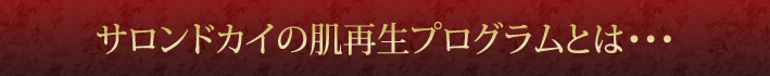 サロンドカイの肌再生プログラムとは・・・