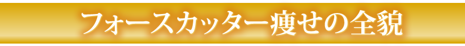 フォースカッター痩せの全貌